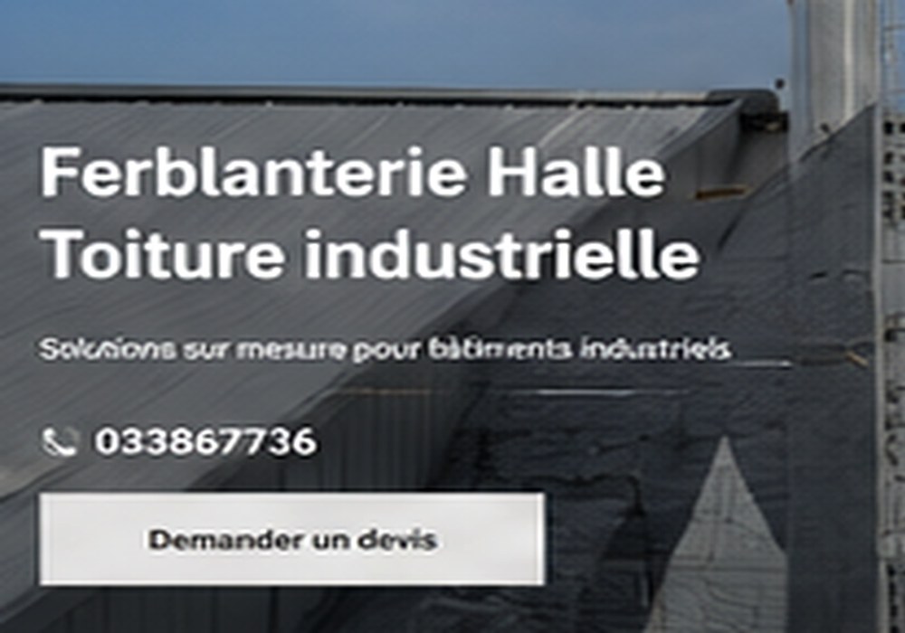 Travaux de toiture professionnels